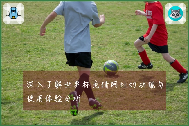 深入了解世界杯竞猜网址的功能与使用体验分析