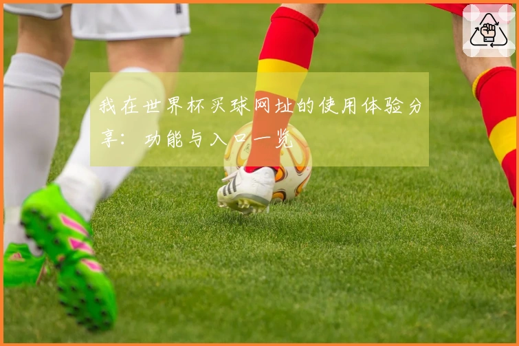 我在世界杯买球网址的使用体验分享：功能与入口一览