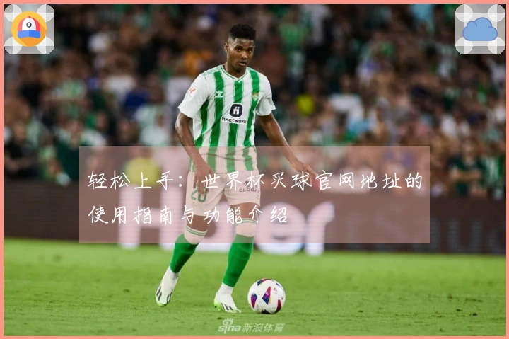 轻松上手：世界杯买球官网地址的使用指南与功能介绍