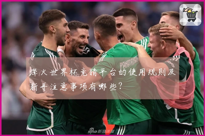 烽火世界杯竞猜平台的使用规则及新手注意事项有哪些？