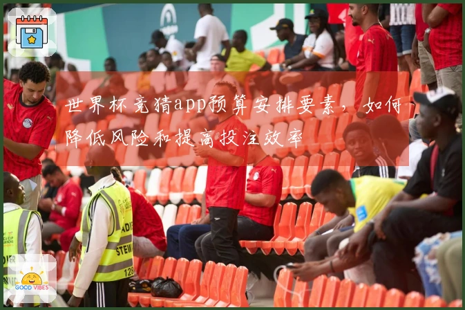 世界杯竞猜app预算安排要素，如何降低风险和提高投注效率