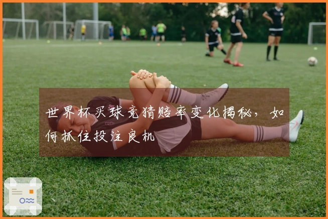 世界杯买球竞猜赔率变化揭秘，如何抓住投注良机