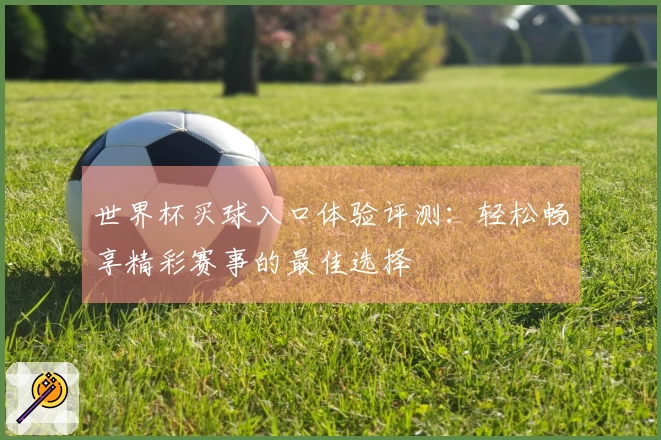 世界杯买球入口体验评测：轻松畅享精彩赛事的最佳选择