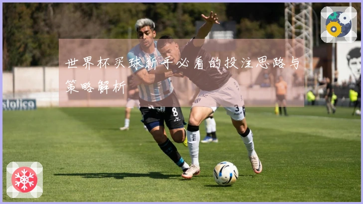 世界杯买球新手必看的投注思路与策略解析