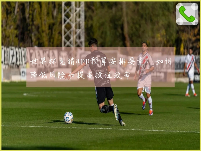 世界杯竞猜app预算安排要素，如何降低风险和提高投注效率