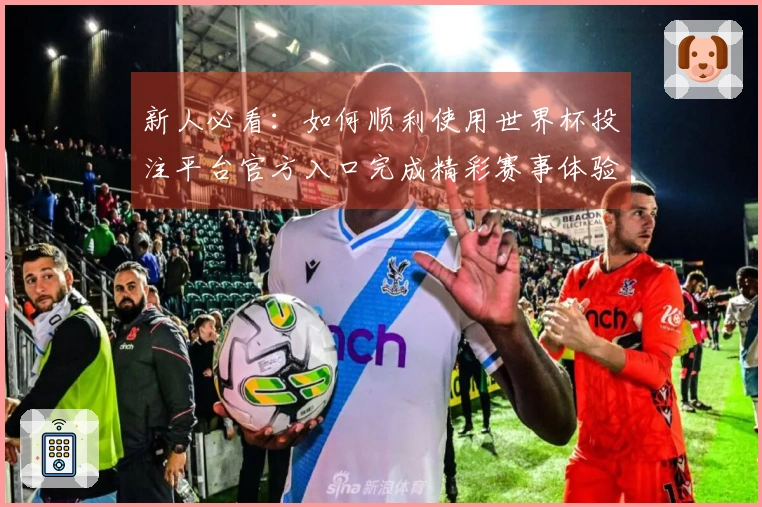 新人必看：如何顺利使用世界杯投注平台官方入口完成精彩赛事体验