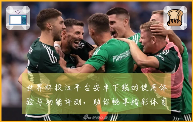 世界杯投注平台安卓下载的使用体验与功能评测，助你畅享精彩体育直播
