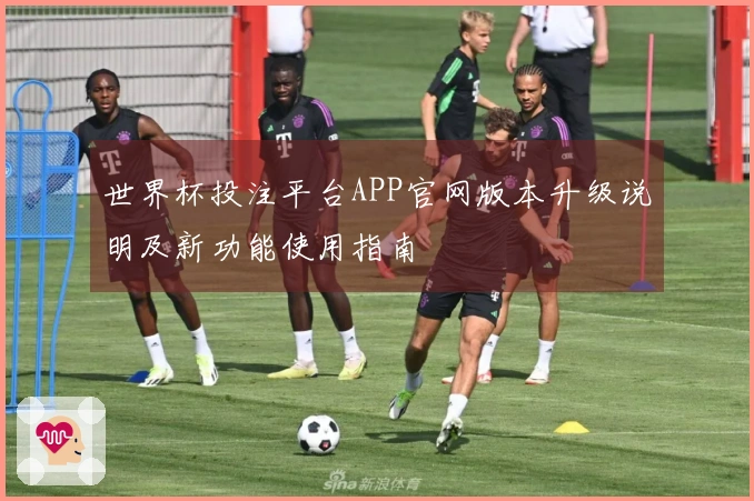 世界杯投注平台APP官网版本升级说明及新功能使用指南
