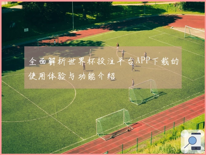 全面解析世界杯投注平台APP下载的使用体验与功能介绍