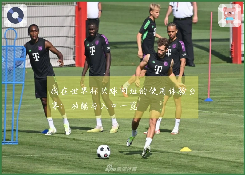 我在世界杯买球网址的使用体验分享：功能与入口一览