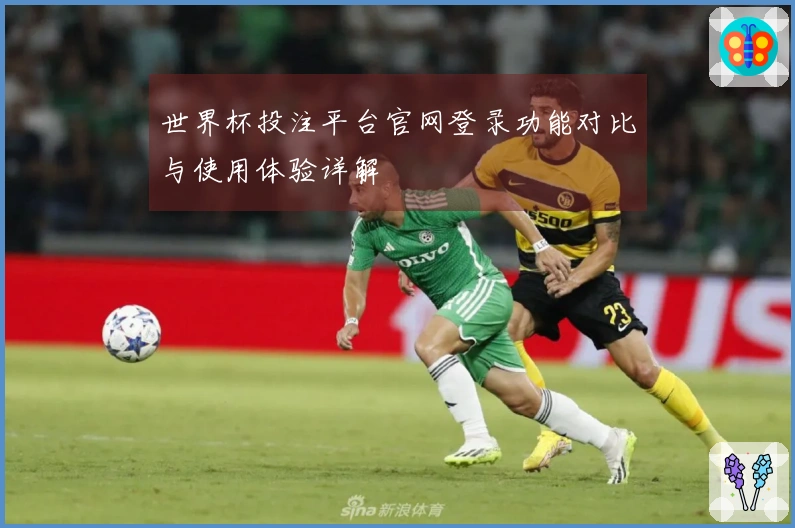 世界杯投注平台官网登录功能对比与使用体验详解