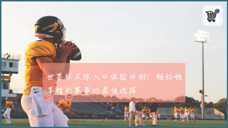 世界杯买球入口体验评测：轻松畅享精彩赛事的最佳选择