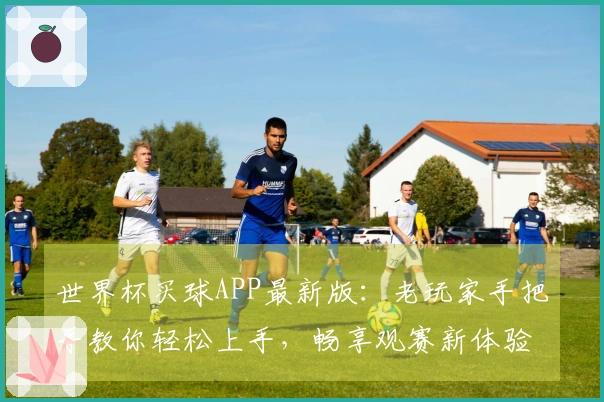 世界杯买球APP最新版：老玩家手把手教你轻松上手，畅享观赛新体验