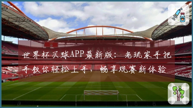 世界杯买球APP最新版：老玩家手把手教你轻松上手，畅享观赛新体验